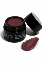 Load image into Gallery viewer, Organic Tinted Lip Balm – Wild Plum